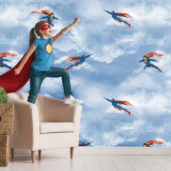 Superman In The Sky Mural