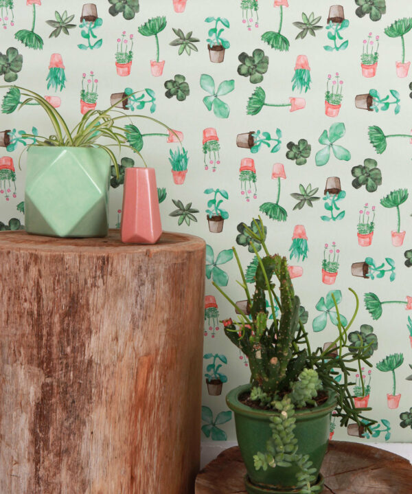 Succulents Wallpaper