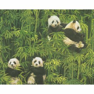 The Bamboo & Panda Wallpaper