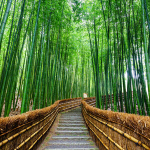 Bamboo Stairway Mural