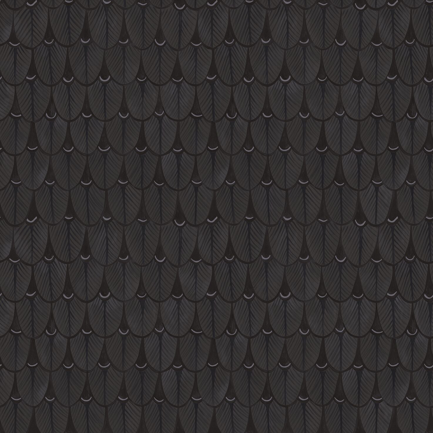 Charcoal Narina Wallpaper