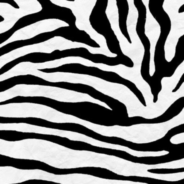 Zebra Stripes Mural