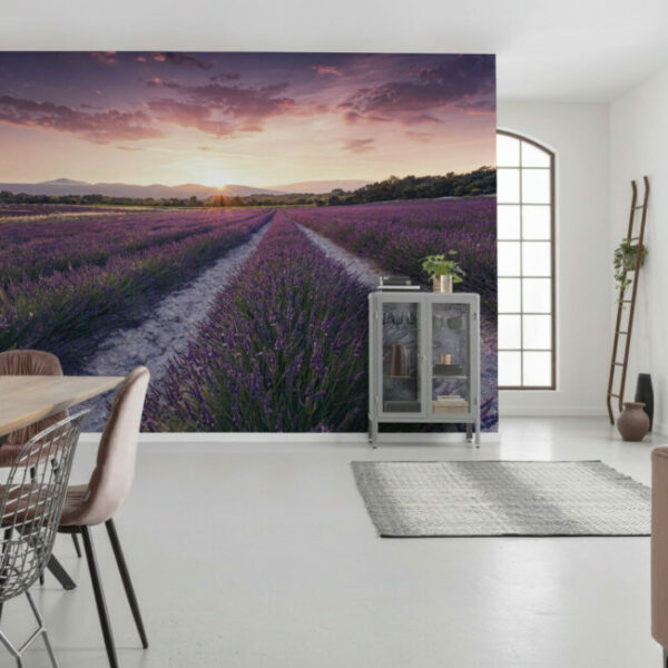 Lavender Dream Wallmural ( 450 x 280 cm)