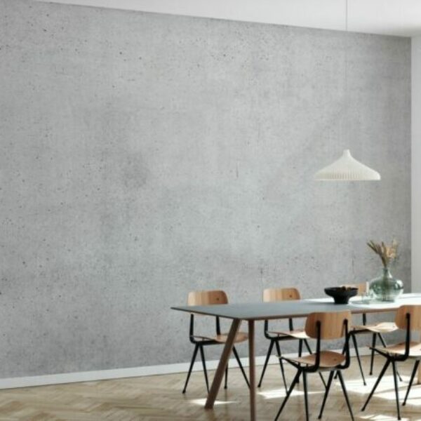 Exposed Concrete Wall Mural