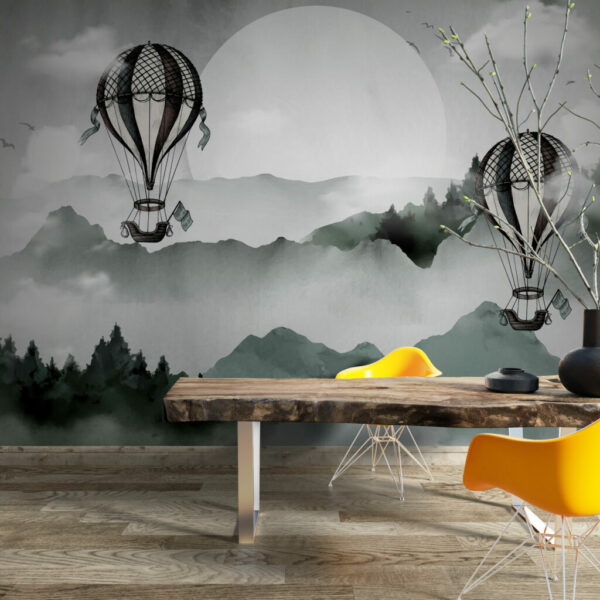 Flying Balloons and Scenery Wall Murals