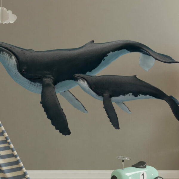 Cartoon Whale Stickers Wall Decals